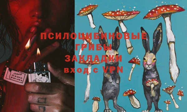 твердый Надым
