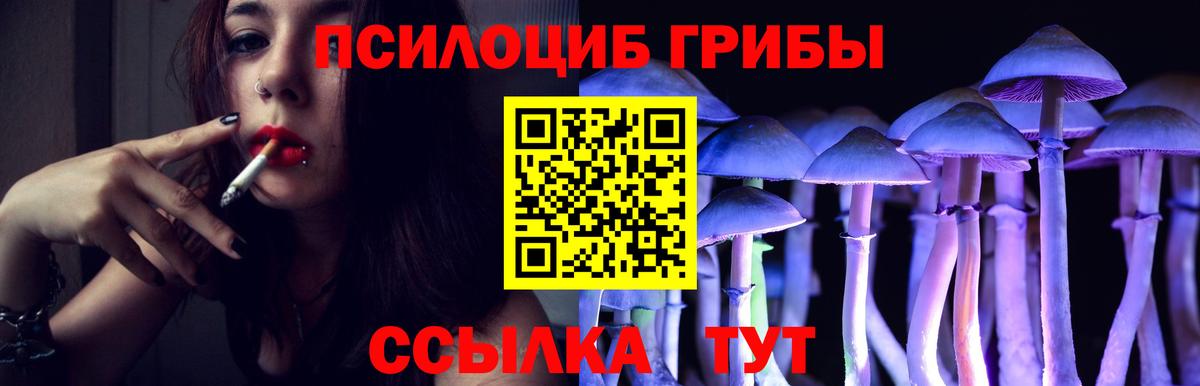 Псилоцибиновые грибы ЛСД Нижнеудинск