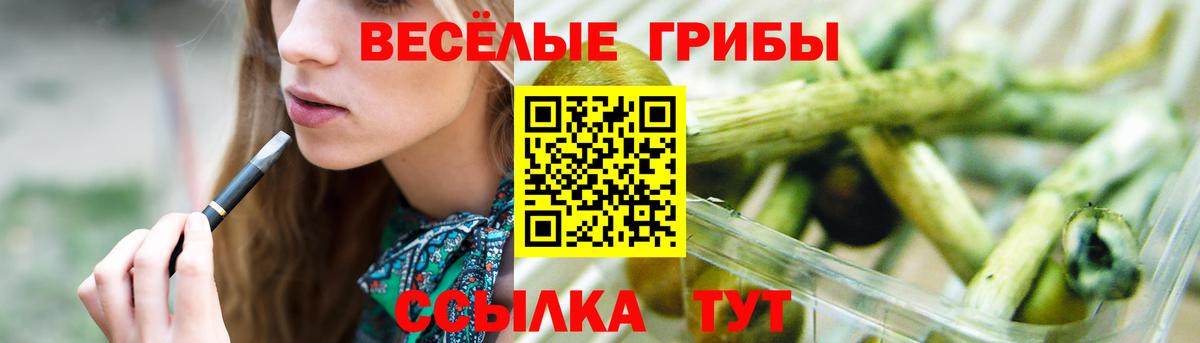 Галлюциногенные грибы мухоморы  Псилоцибиновые грибы мухоморы  где найти   Вход с VPN  Нижнеудинск 